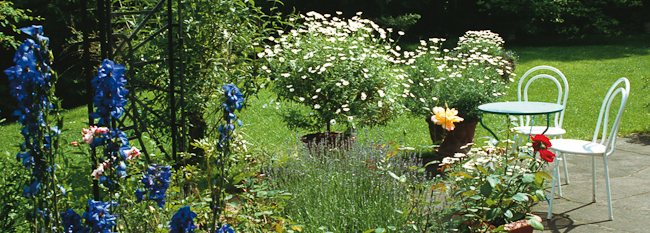 gartenbau Pflanzungen gartenbau Pflanzungen